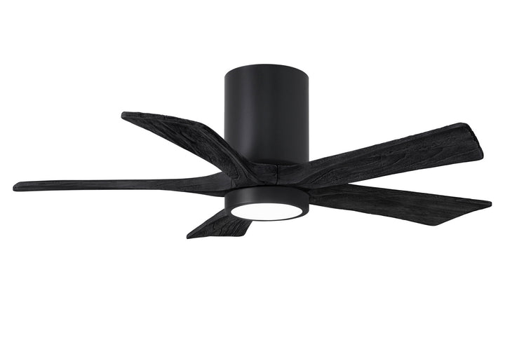 Matthews Fan CompanyIrene-5HLK42" Ceiling Fan