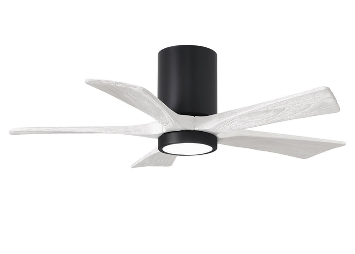 Matthews Fan CompanyIrene-5HLK42" Ceiling Fan