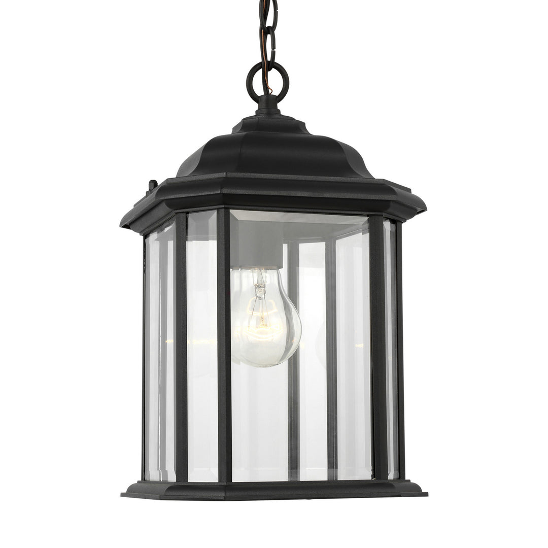 Generation Lighting. One Light Outdoor Pendant