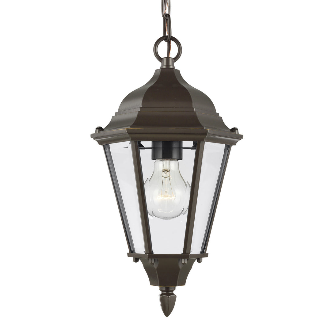 Generation Lighting. One Light Outdoor Pendant