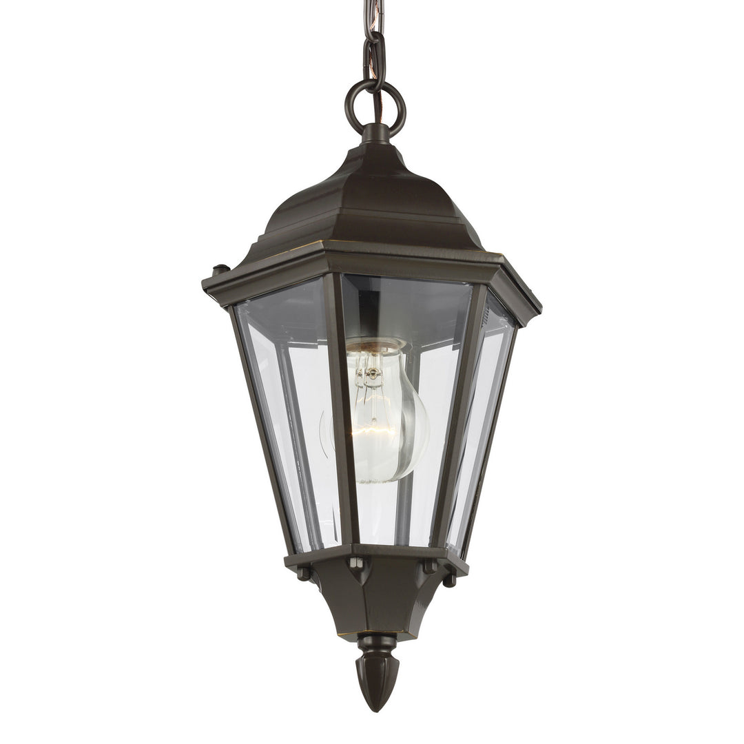 Generation Lighting. One Light Outdoor Pendant