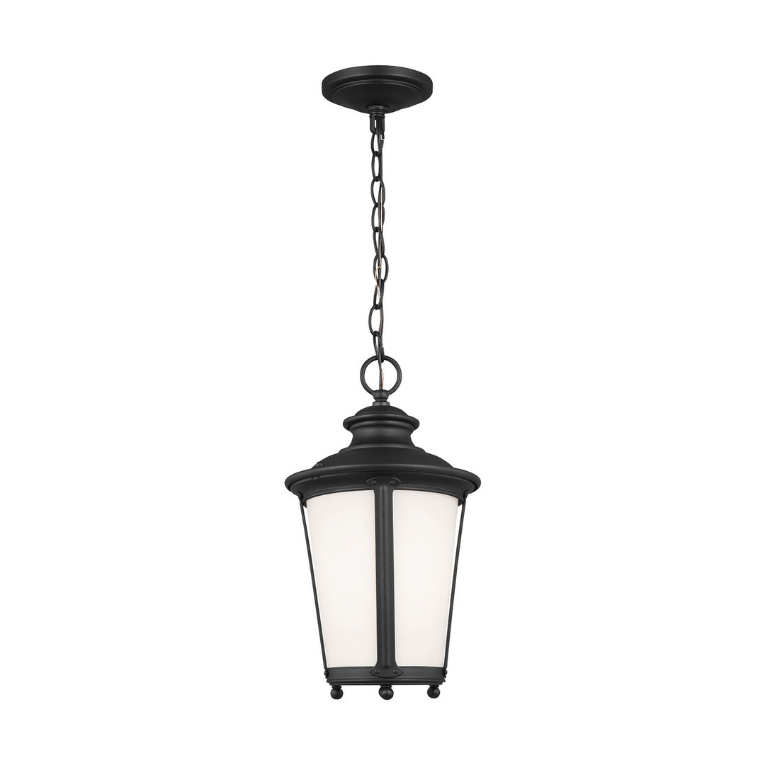 Generation Lighting. One Light Outdoor Pendant