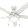 Hunter Anslee 52" Indoor Ceiling Fan