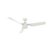 Hunter Cabo Frio 52" Damp-Rated Ceiling Fan