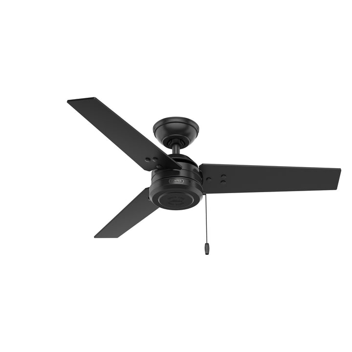 HunterCassius44" Ceiling Fan