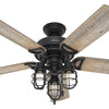 Hunter Starklake 52" Damp-Rated Ceiling Fan