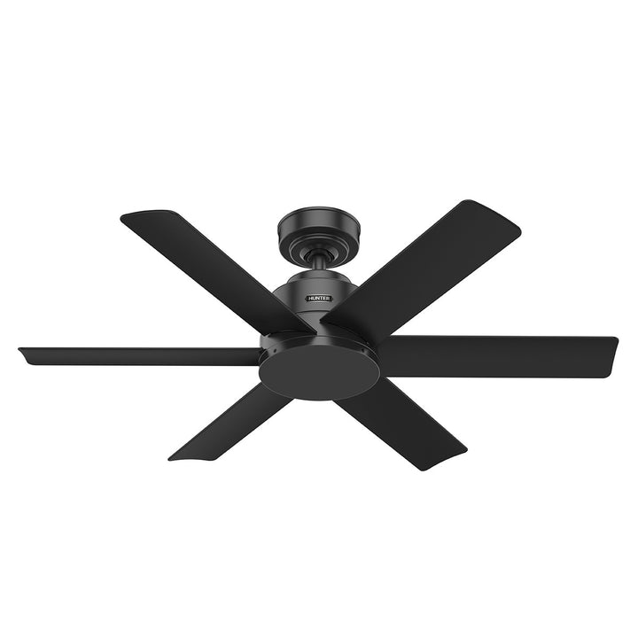 HunterKennicott44" Ceiling Fan