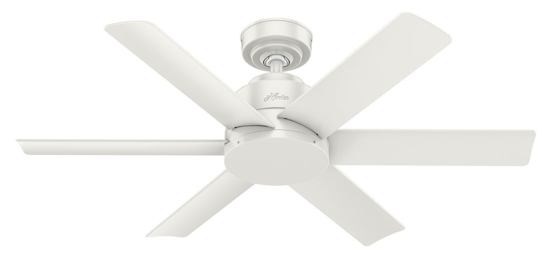 HunterKennicott44" Ceiling Fan
