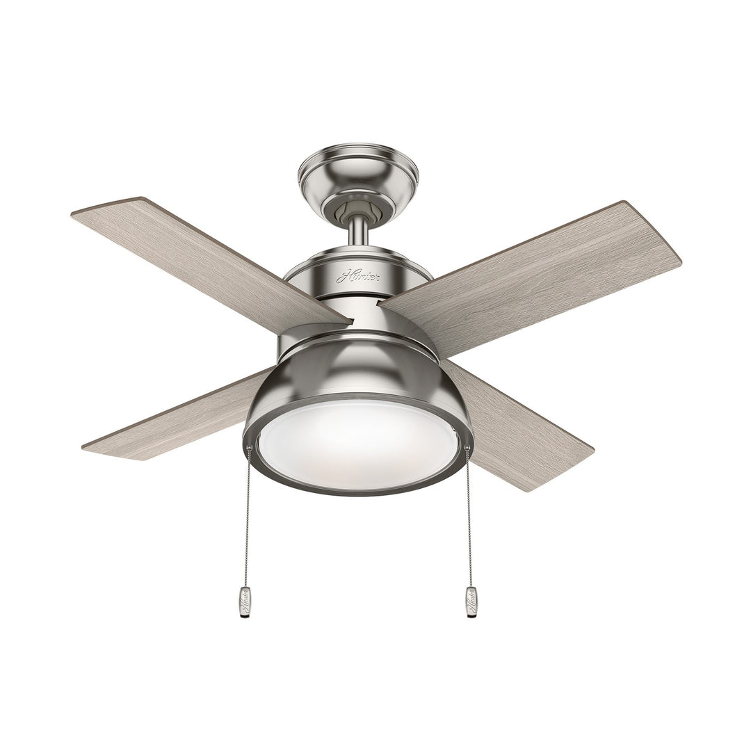 HunterLoki36" Ceiling Fan