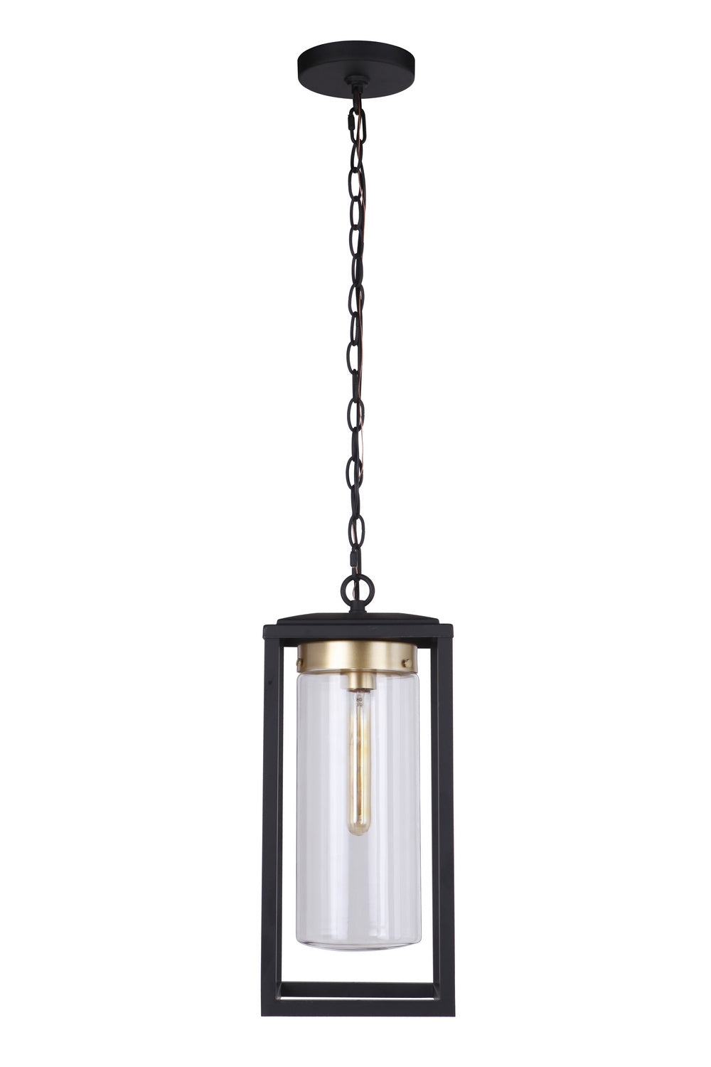 Neo One Light Outdoor Pendant in Midnight/Satin Brass