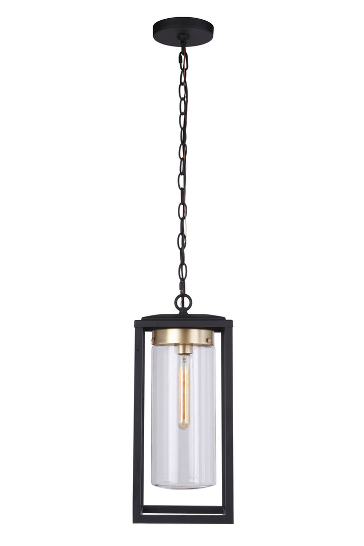 Neo One Light Outdoor Pendant in Midnight/Satin Brass