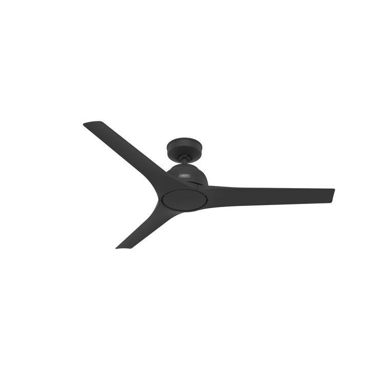 HunterGallegos52" Ceiling Fan