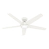 Hunter Zayden 52" Indoor Ceiling Fan