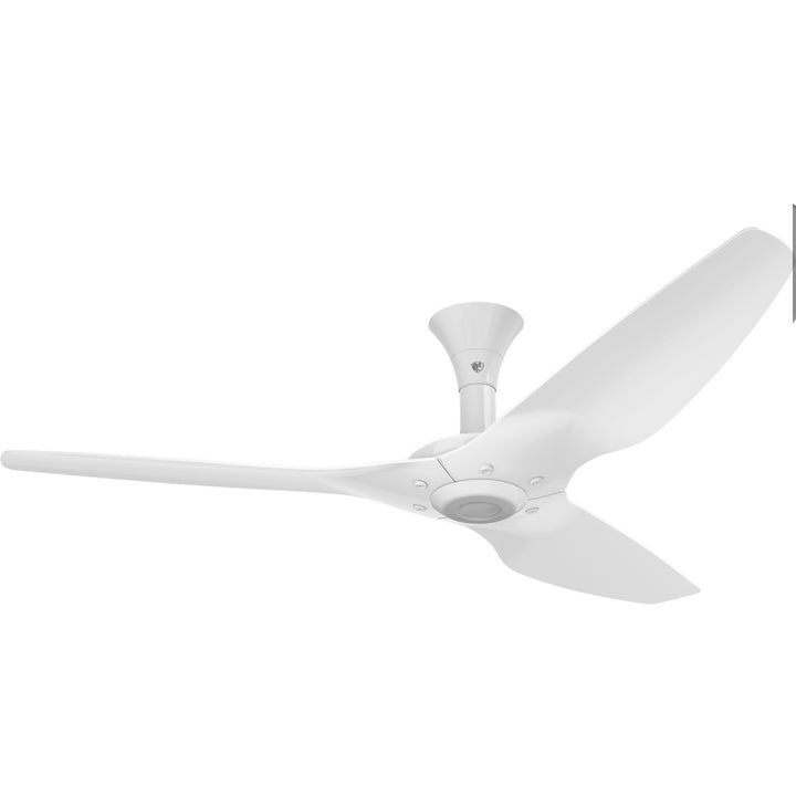 Big Ass FansHaiku60"Ceiling Fan Kit