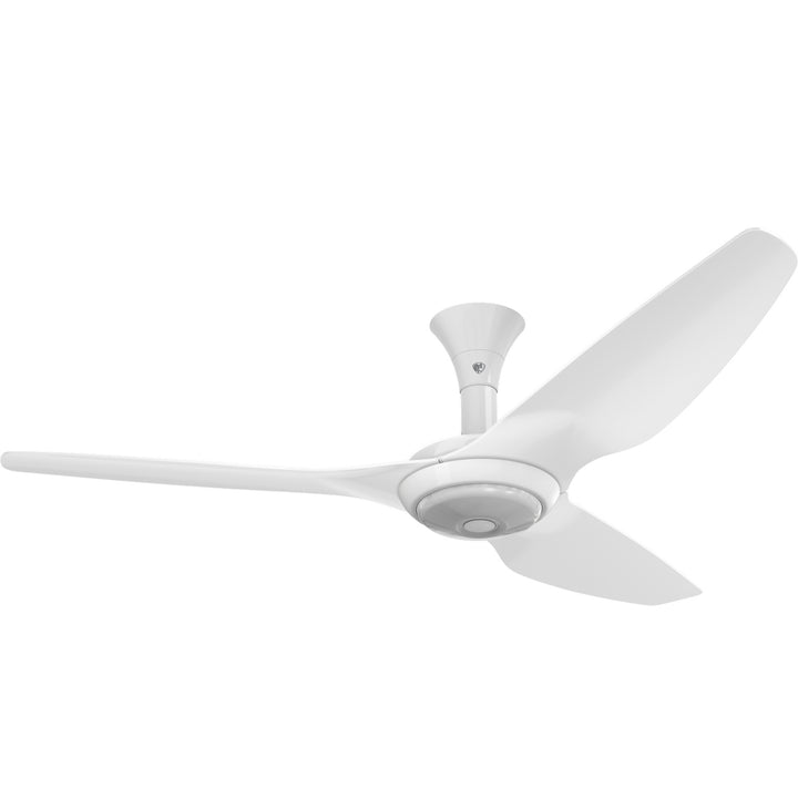 Big Ass FansHaiku60"Ceiling Fan Kit