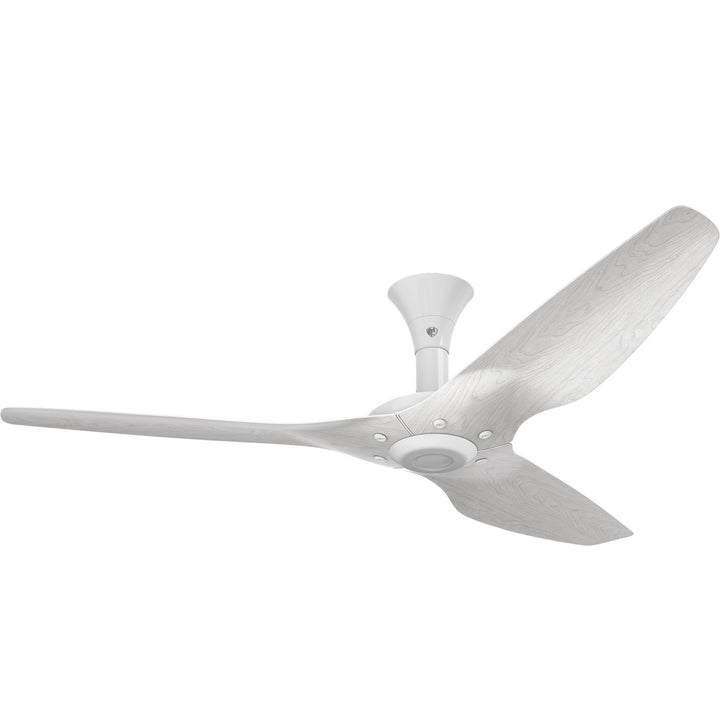 Big Ass FansHaiku60"Ceiling Fan Kit