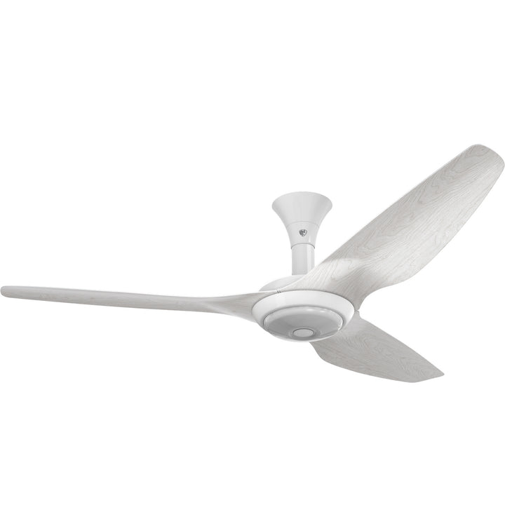 Big Ass FansHaiku60"Ceiling Fan Kit