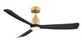 Brushed Satin Brass / Black