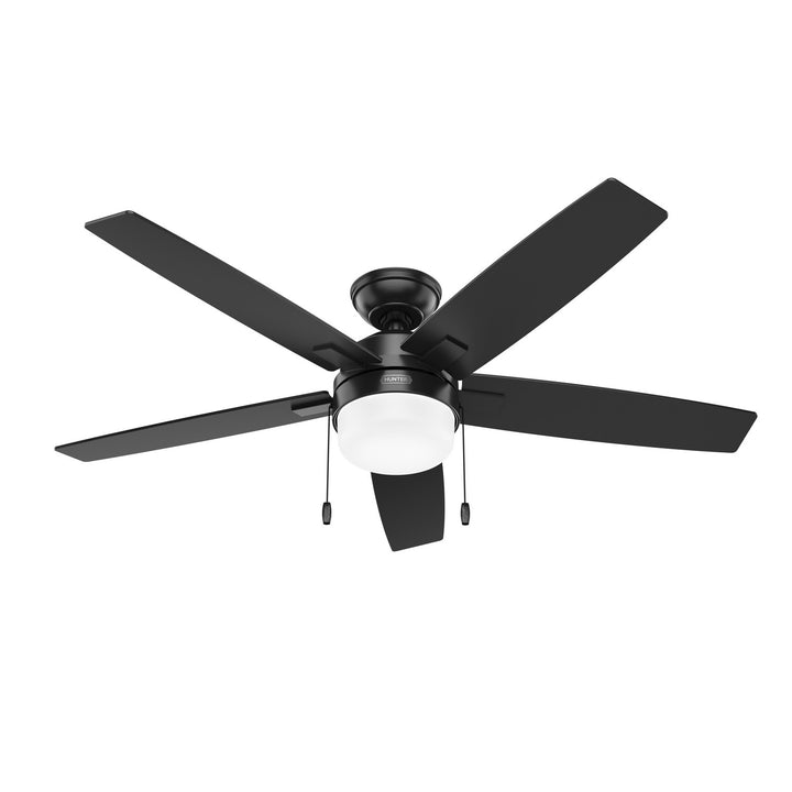 HunterAnisten52" Ceiling Fan