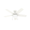 Hunter Anisten 44" Indoor Ceiling Fan