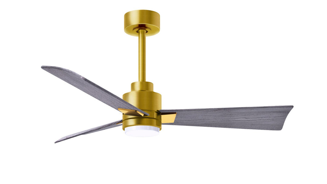 Matthews Fan CompanyAlessandra - LK42" Ceiling Fan