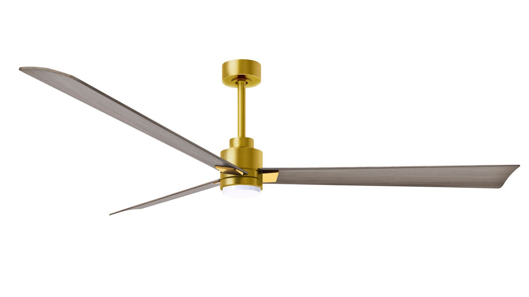 Matthews Fan CompanyAlessandra - LK72" Ceiling Fan