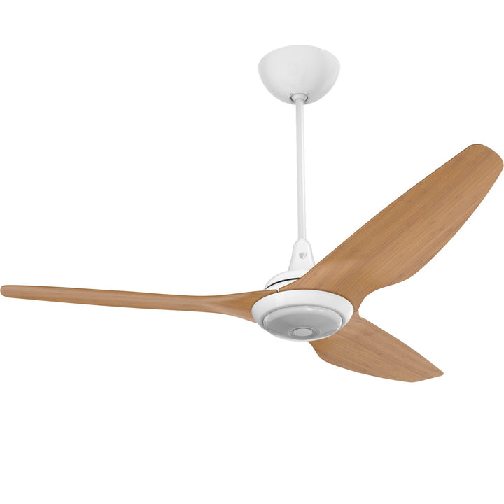 Big Ass FansHaiku60"Ceiling Fan Kit