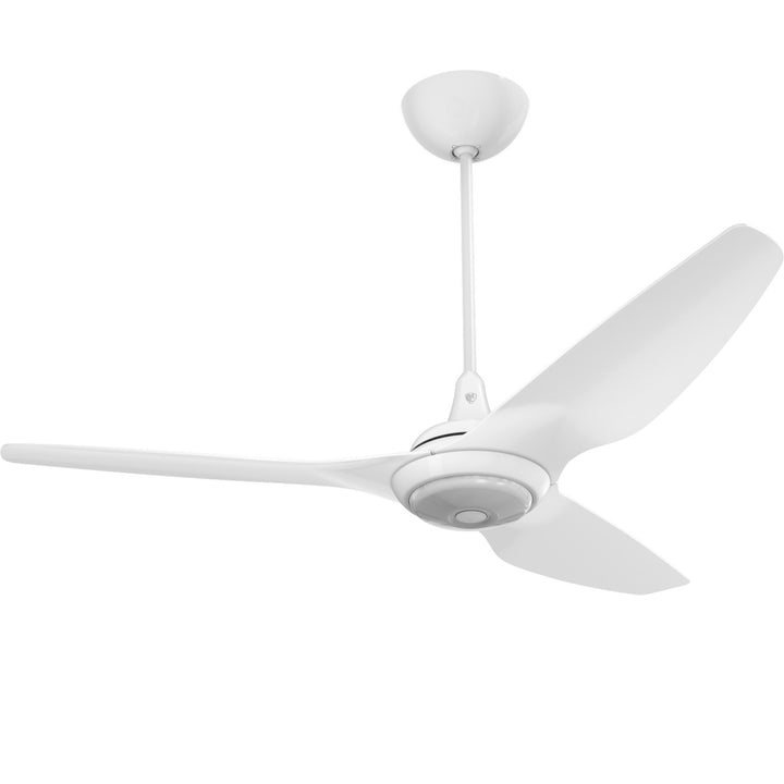 Big Ass FansHaiku60"Ceiling Fan Kit