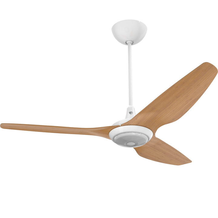 Big Ass FansHaiku60"Ceiling Fan Kit