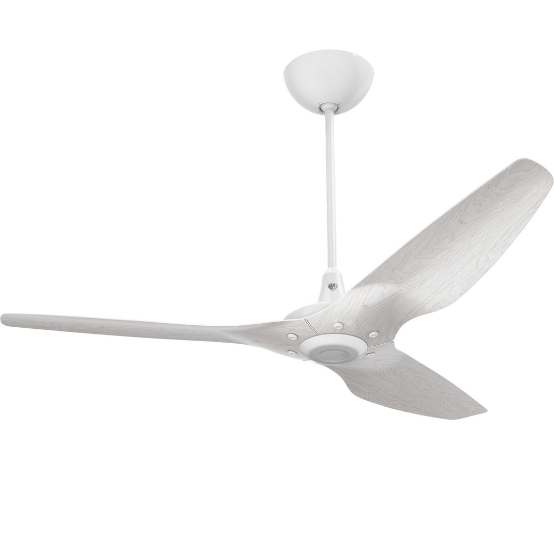Big Ass FansHaiku60"Ceiling Fan Kit
