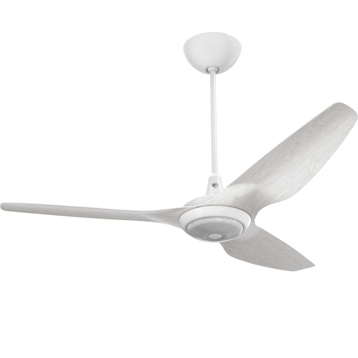 Big Ass FansHaiku60"Ceiling Fan Kit