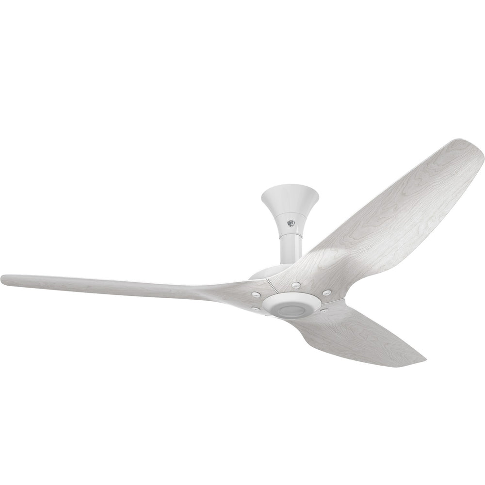 Big Ass FansHaiku60"Ceiling Fan Kit