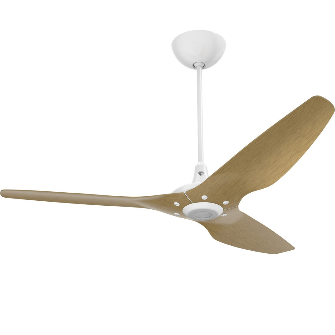 Big Ass FansHaiku60"Ceiling Fan Kit