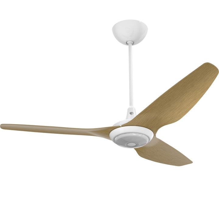 Big Ass FansHaiku60"Ceiling Fan Kit
