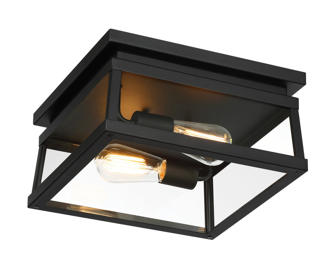 Minka-LaveryIsla VistaTwo Light Outdoor Flush Mount