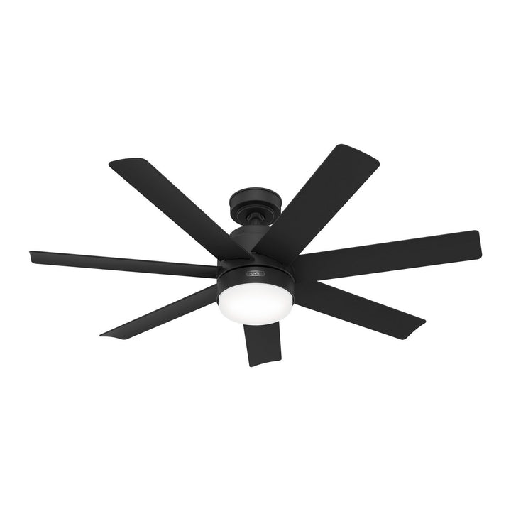 HunterBrazos52" Ceiling Fan