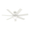 Hunter Brazos 52" Damp-Rated Ceiling Fan