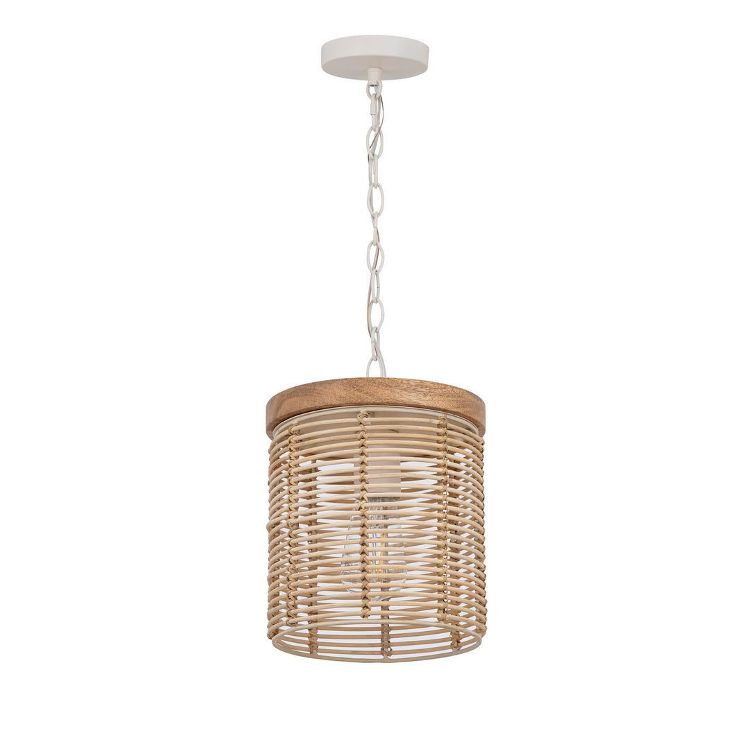 MaximVannerieOne Light Pendant