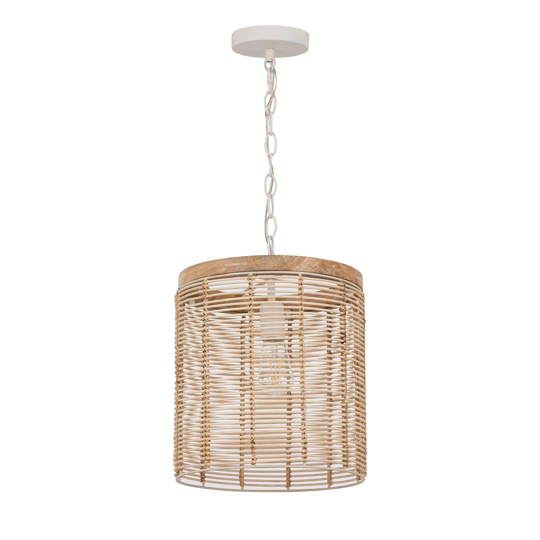 MaximVannerieOne Light Pendant