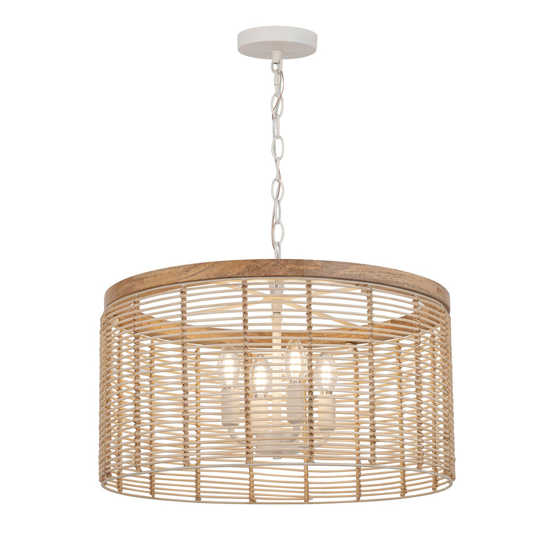 MaximVannerieFour Light Pendant