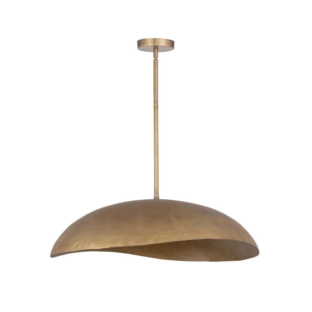 MaximDenariiTwo Light Pendant