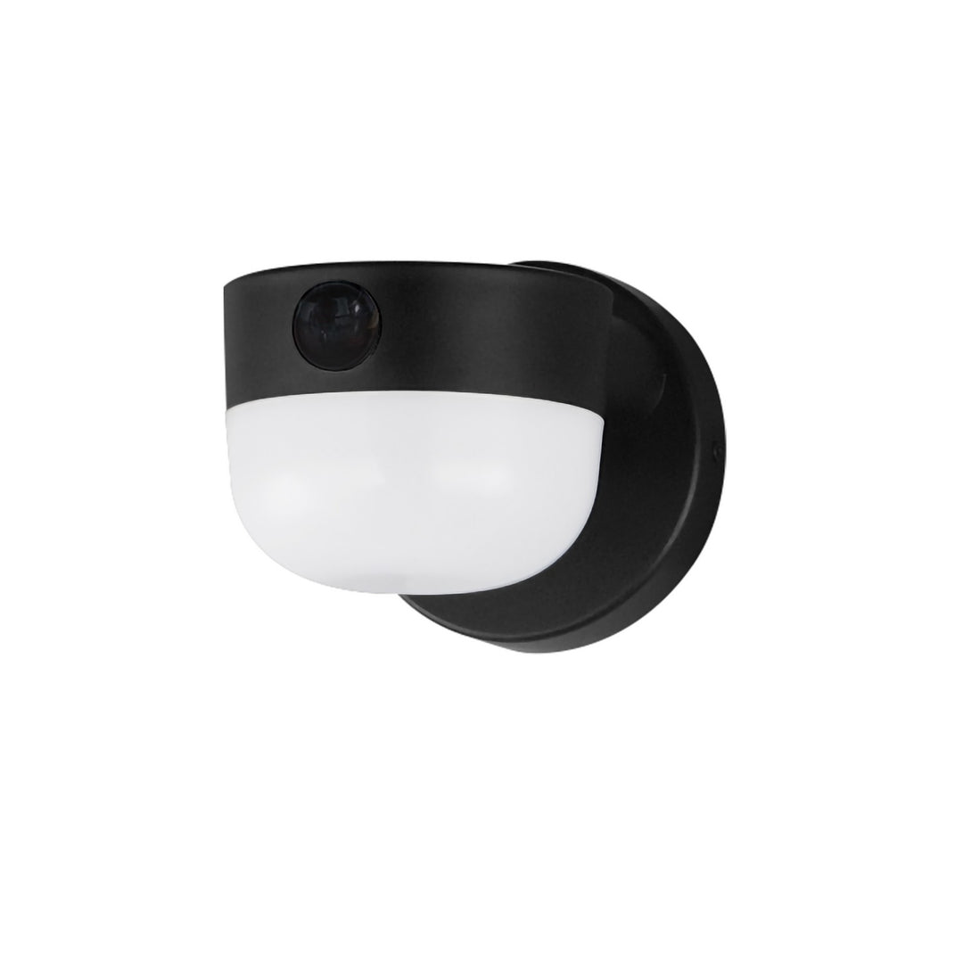 MaximMichelleLED Outdoor Wall Sconce