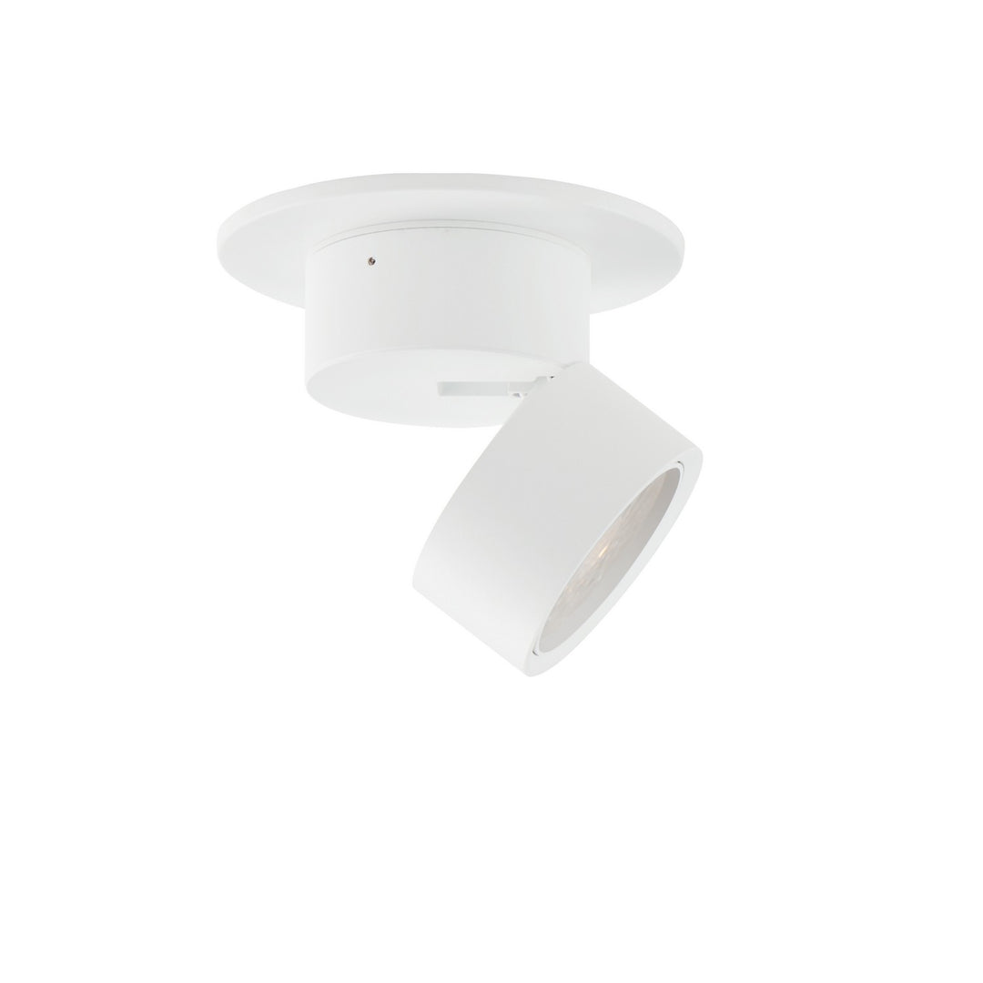 MaximSwingerLED Flush Mount