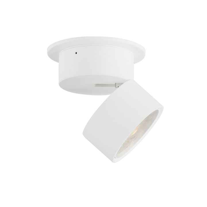 MaximSwingerLED Flush Mount