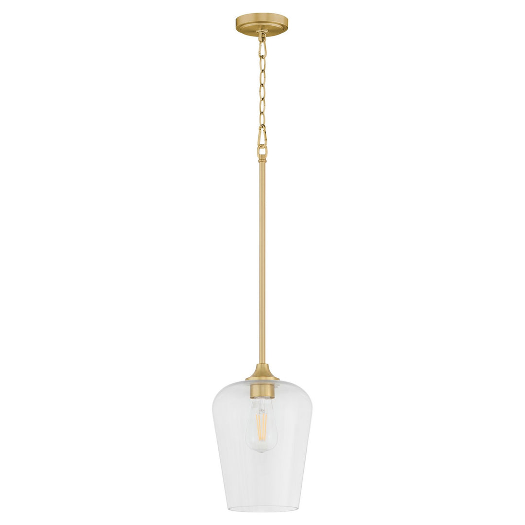 QuorumRaymondOne Light Pendant
