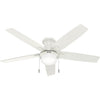 Hunter Anisten | Ceiling Fan with 7W A15 & Pull Chain