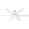 Hunter Kennicott | Ceiling Fan & Wall Control