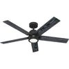 Hunter Erling | Ceiling Fan with 18W Module & Handheld Remote