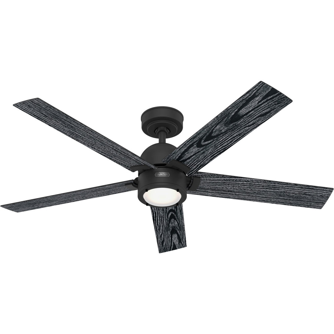 HunterErling52" Ceiling Fan