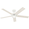 Hunter Erling 52" Indoor Ceiling Fan